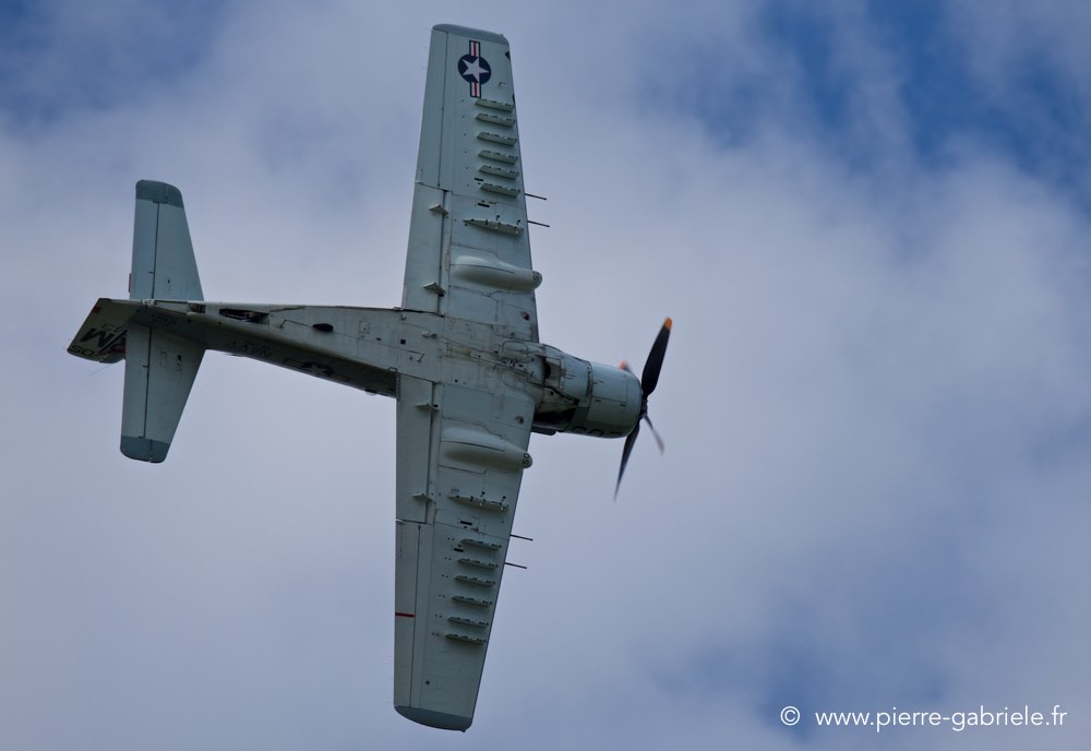 skyraider_3087.jpg