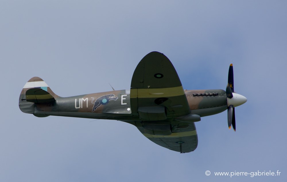 spitfire_0432.jpg