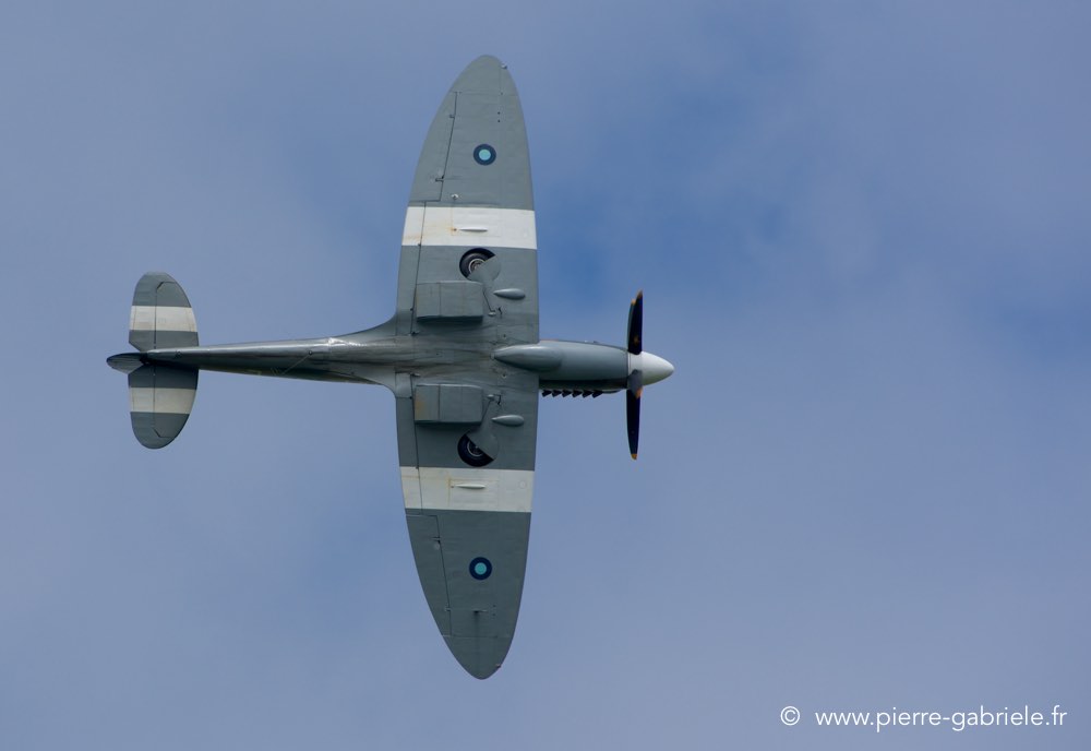 spitfire_0435.jpg