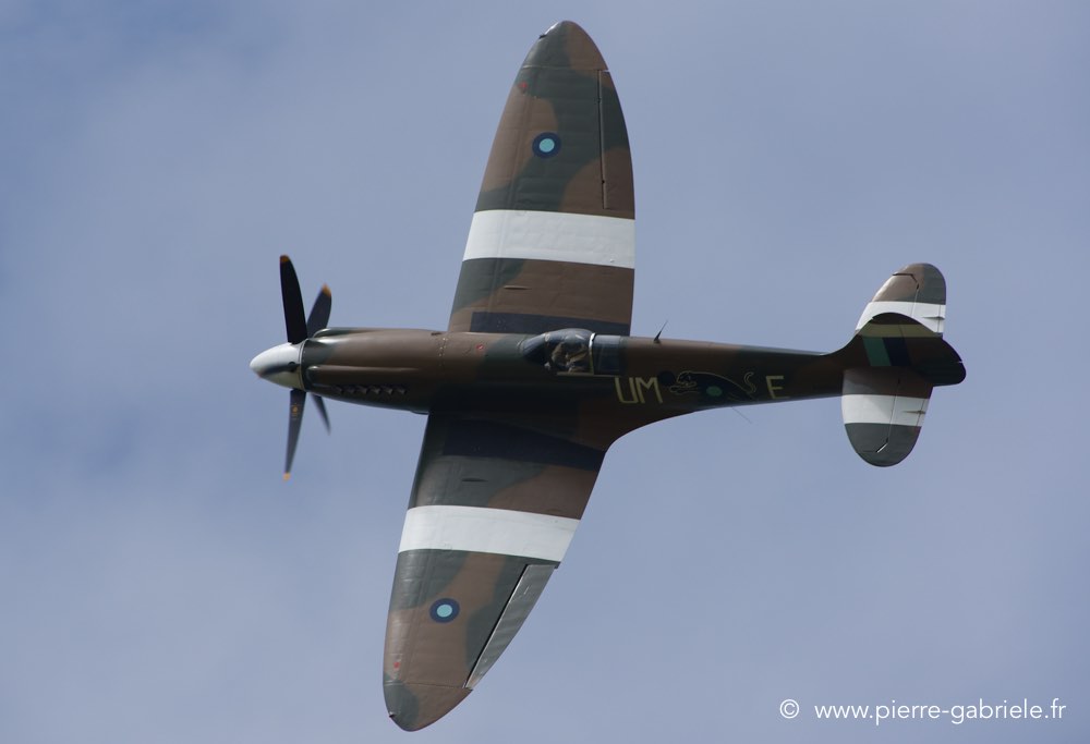 spitfire_0439.jpg