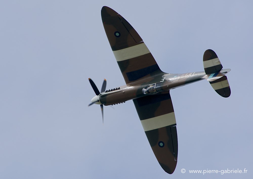 spitfire_0440.jpg