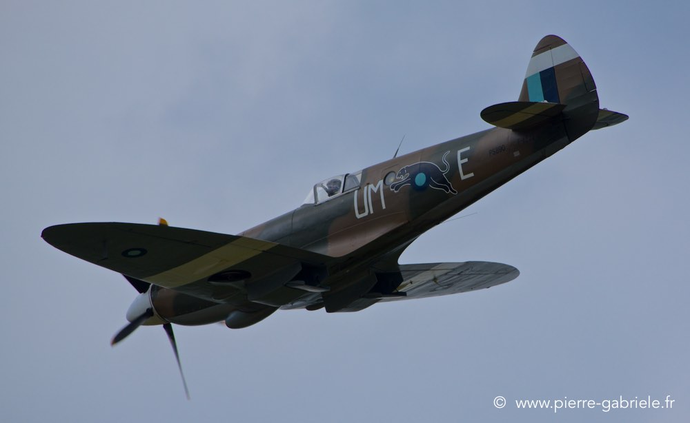 spitfire_1122.jpg