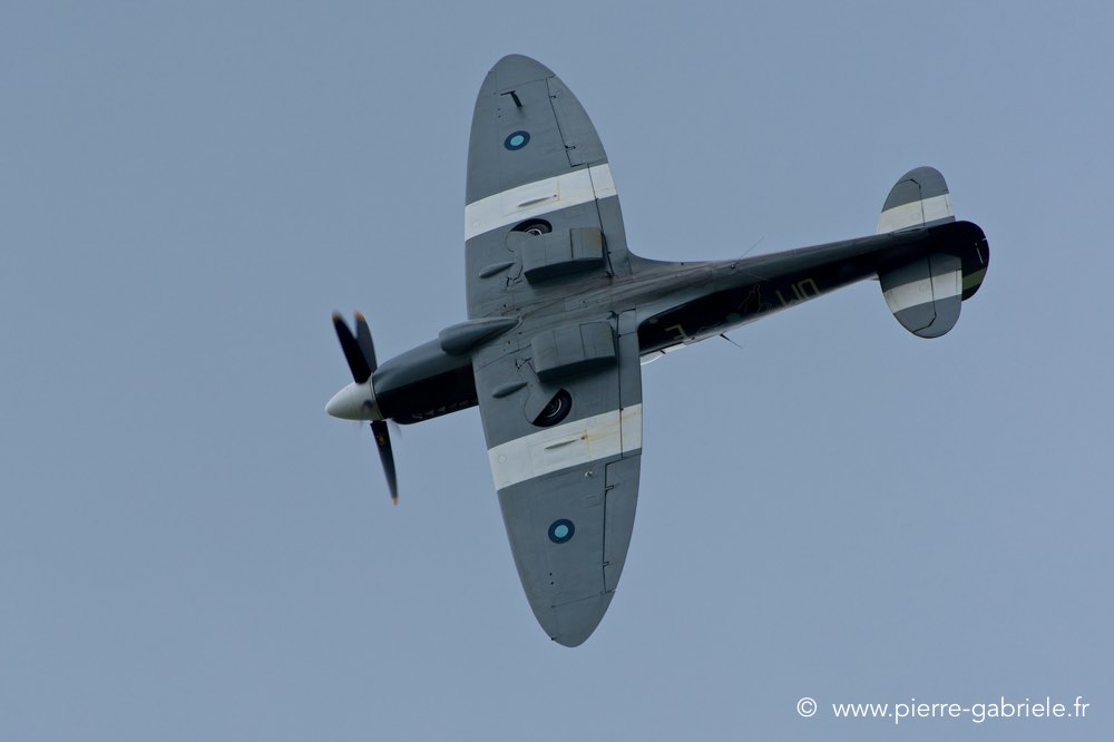spitfire_1152.jpg