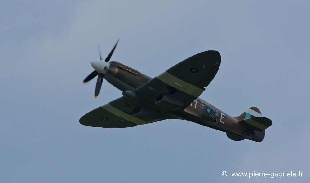 spitfire_1159.jpg