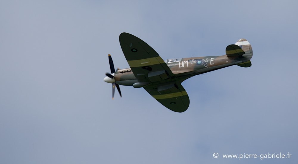 spitfire_2359.jpg