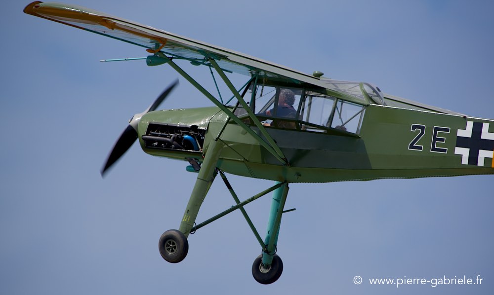 storch_0355.jpg