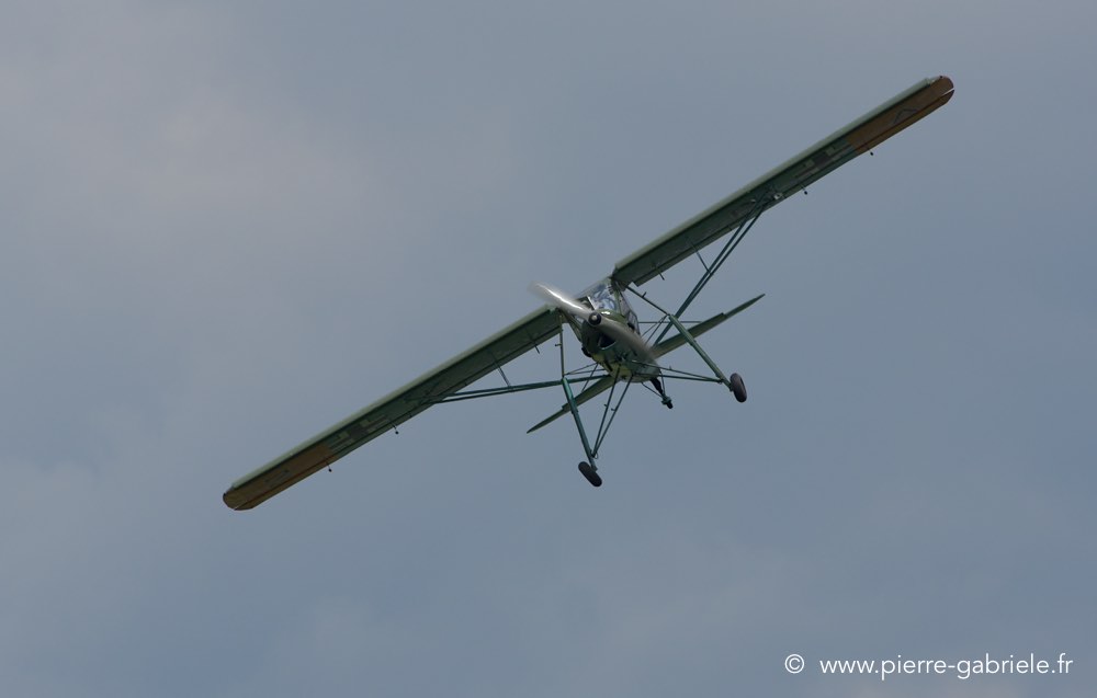 storch_1096.jpg