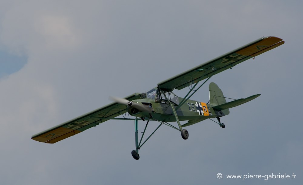 storch_1097.jpg