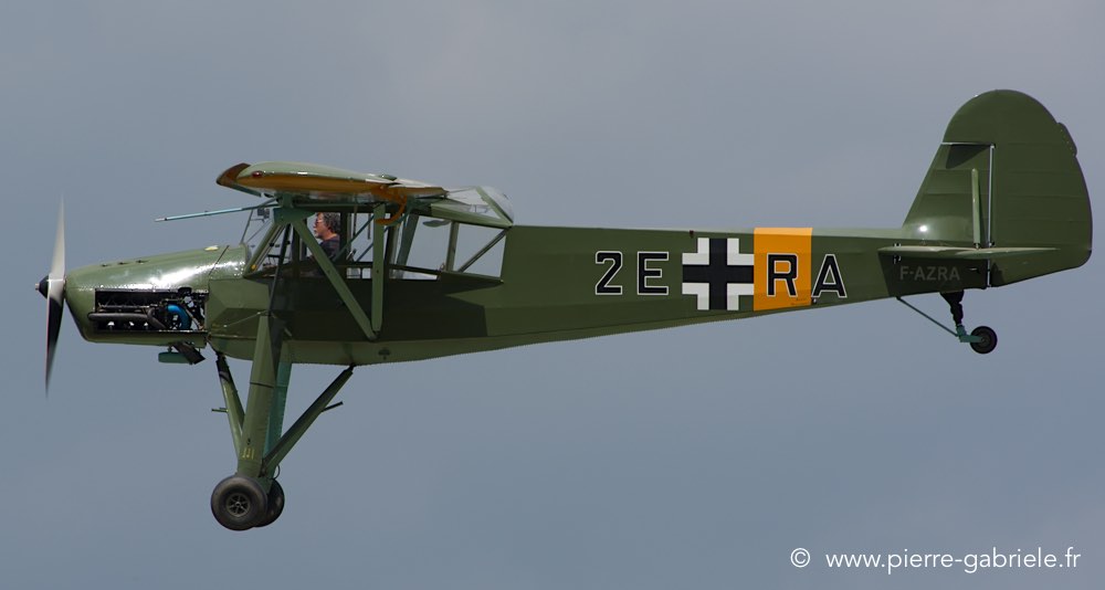storch_1101.jpg