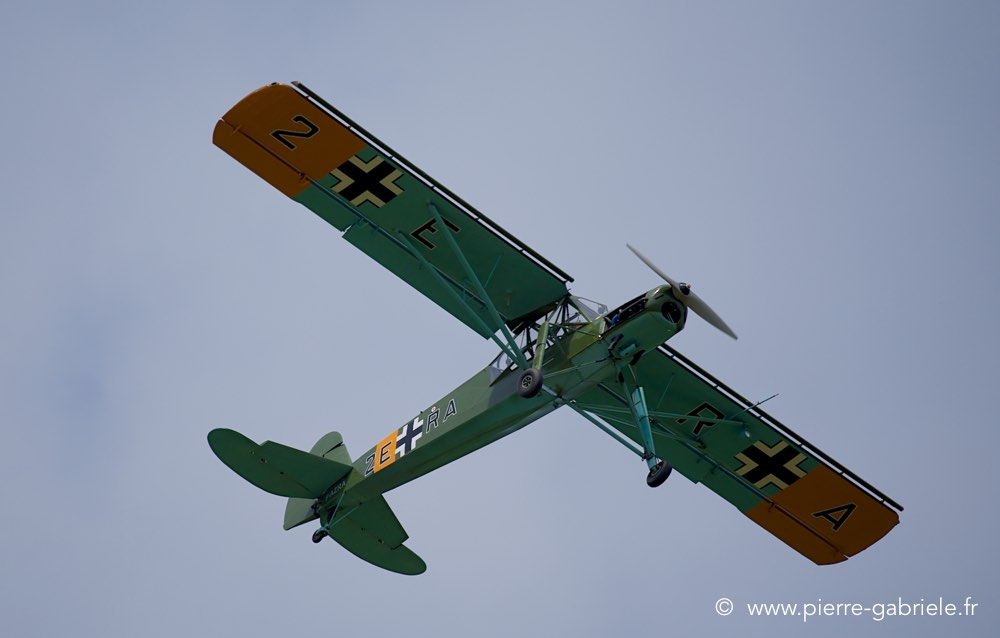 storch_2329.jpg
