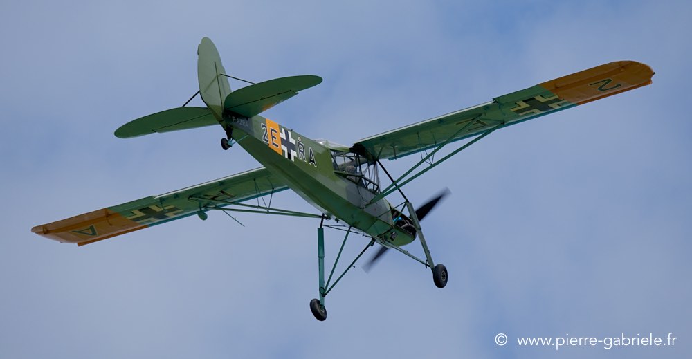 storch_2333.jpg