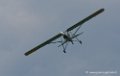 storch_1096