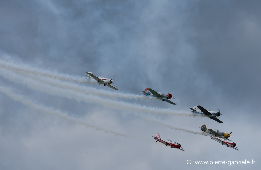 yak50_2716.jpg