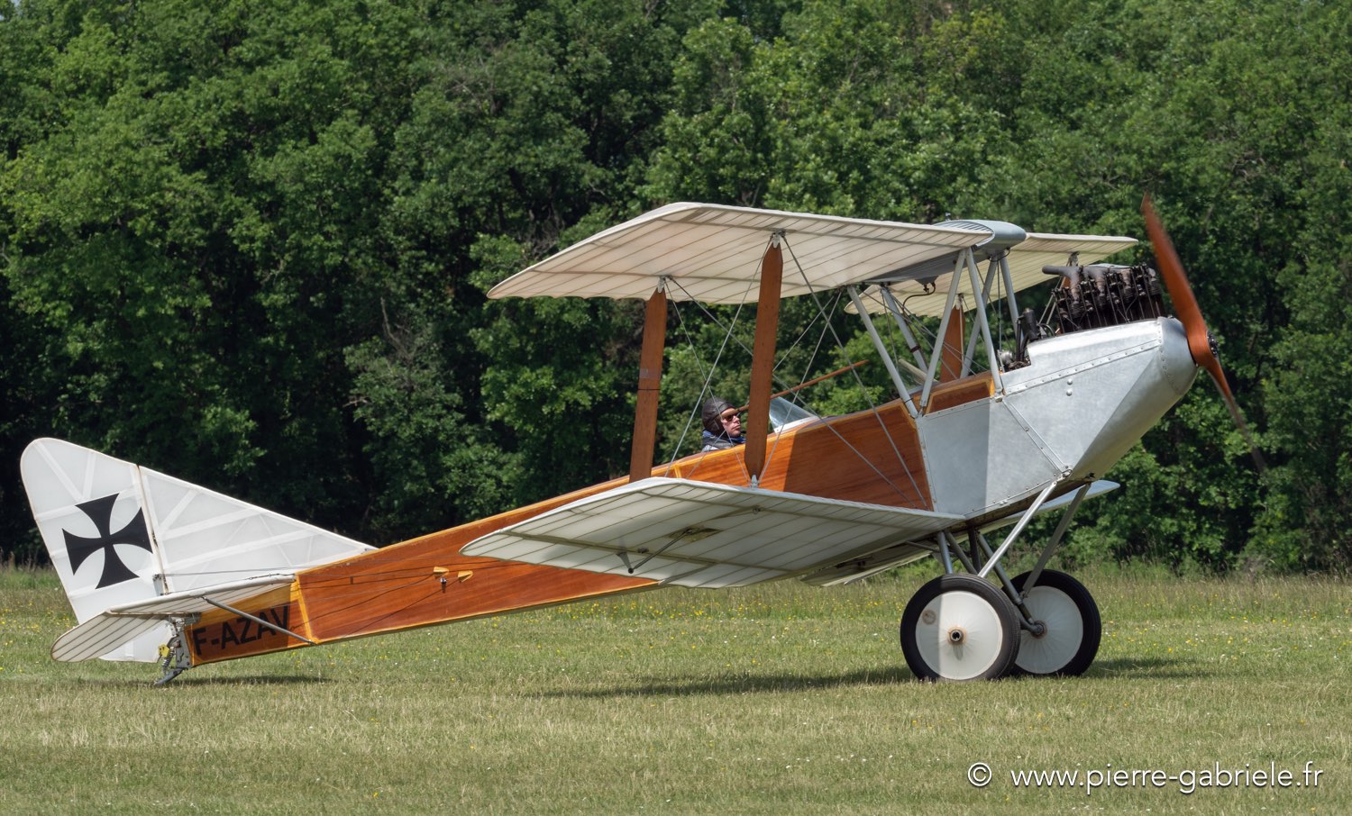 albatros-c2-g91__3008.jpg
