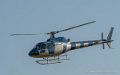 as350-ecureuil-g91__2935