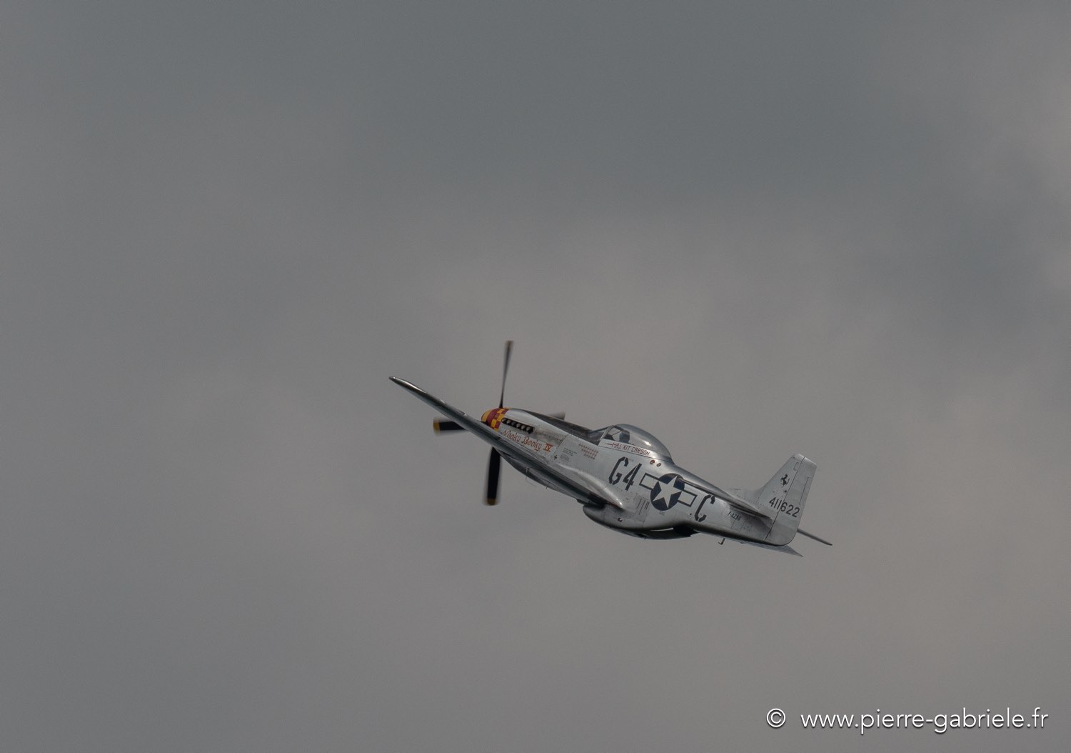 p51d-g92_2658.jpg