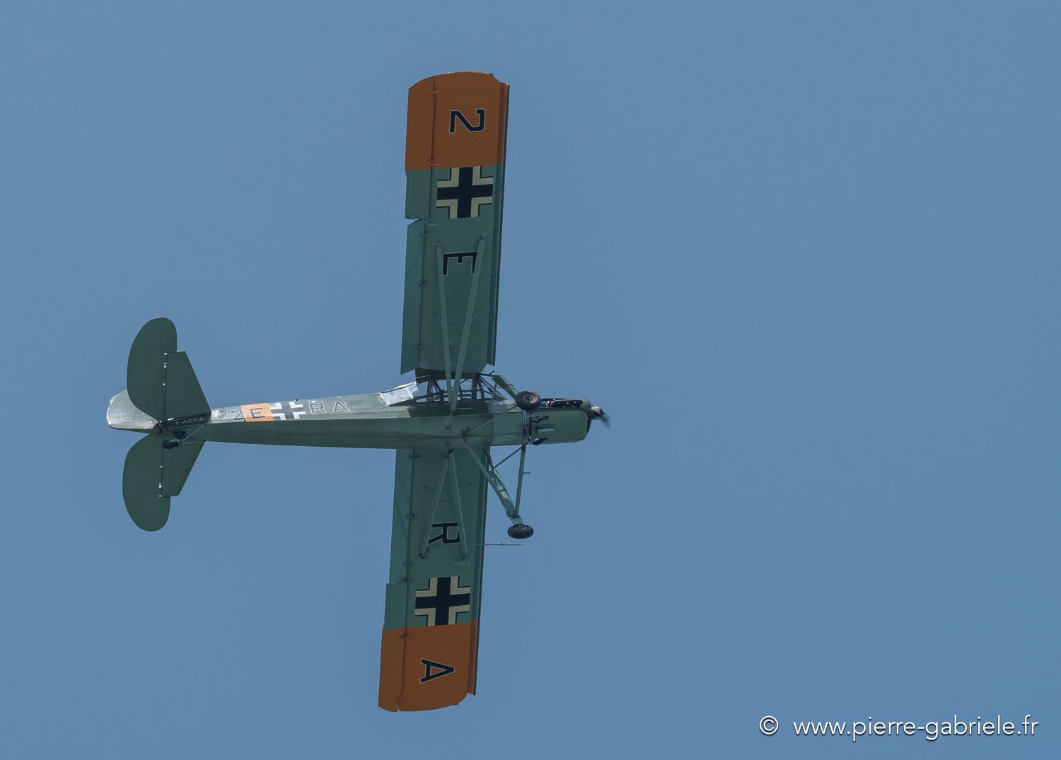 storch-g91__3045.jpg