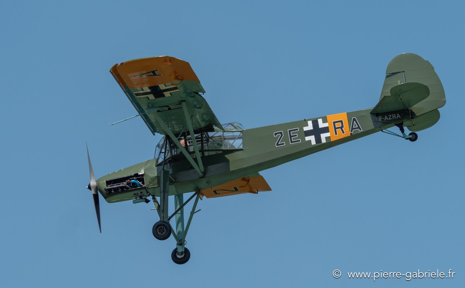 storch-g91__3055.jpg