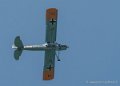 storch-g91__3045