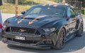 mustang-gh6_5282