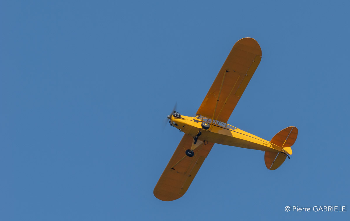 piper-cub-gh7_1358.jpg