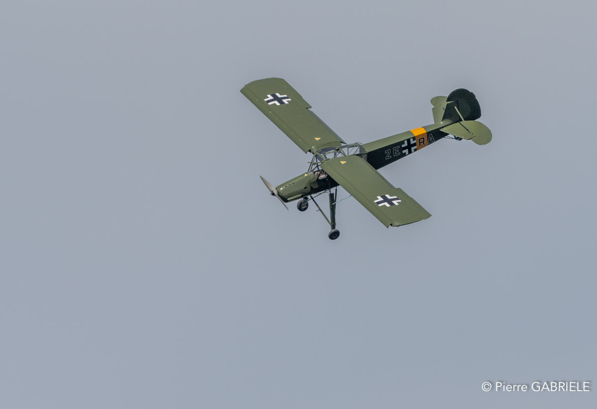 storch-gh7_1894.jpg