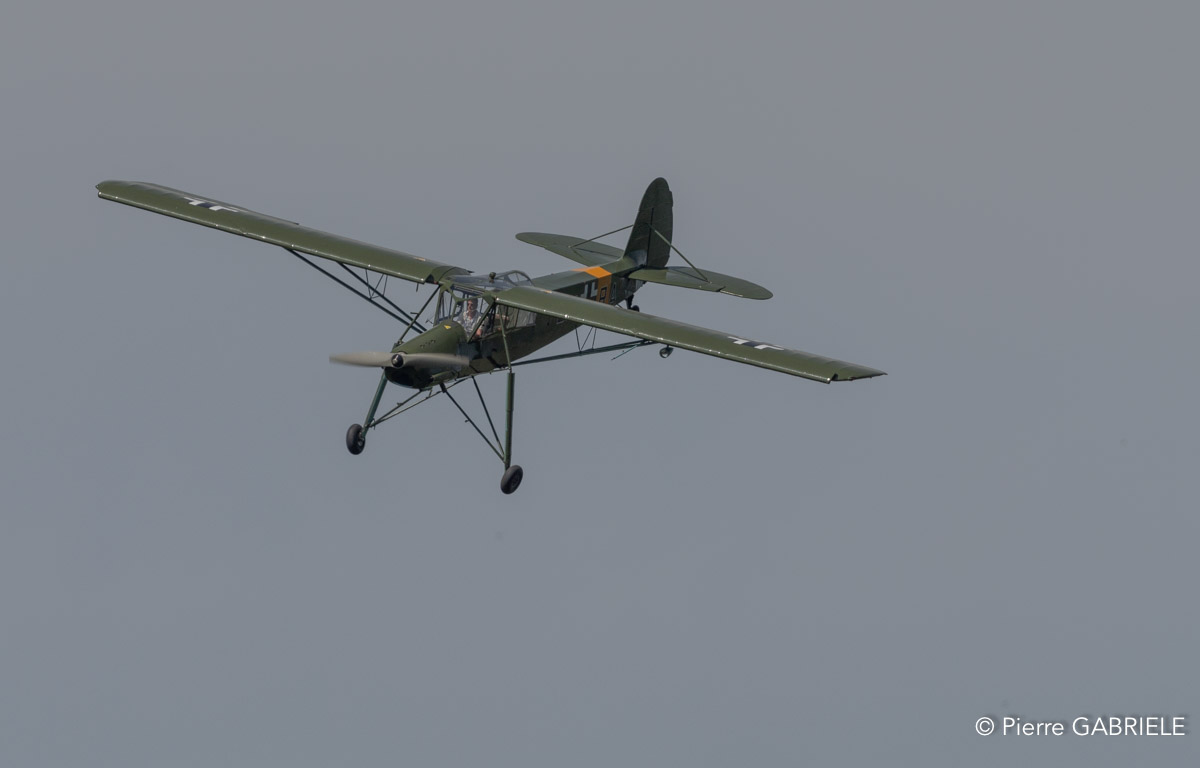 storch-gh7_1895.jpg