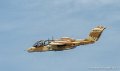 bronco_7814