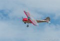 cessna-c195_7735