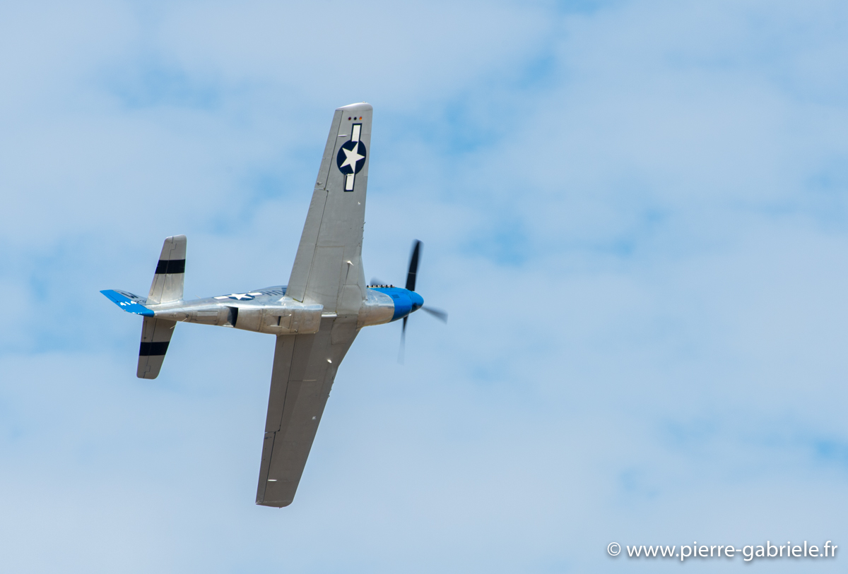mustang-p51_7972.jpg