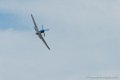 mustang-p51_7969