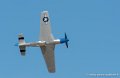 mustang-p51_7971