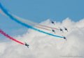 paf_8201