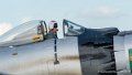 skyraider_8336