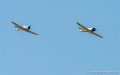 t6-zero_7939