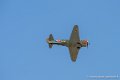 yak11_8333