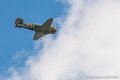 yak11_8334
