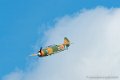 yak11_8340