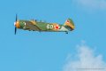 yak11_8343