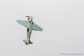 yak11_8349