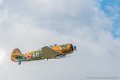 yak11_8357