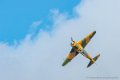 yak11_8362