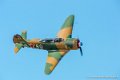 yak11_8367