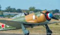 yak11_8383