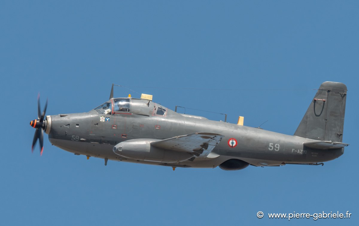 alize-g92_7845.jpg