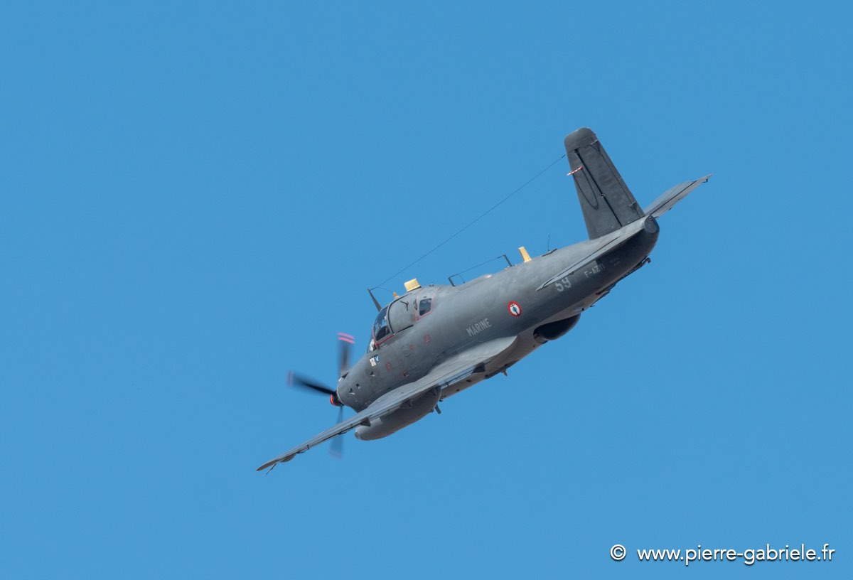 alize-g92_7846.jpg