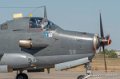 alize-g91_4807