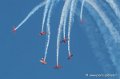 marche-verte-g91_4777