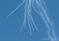 marche-verte-g91_4778