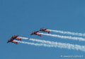 marche-verte-g91_4783